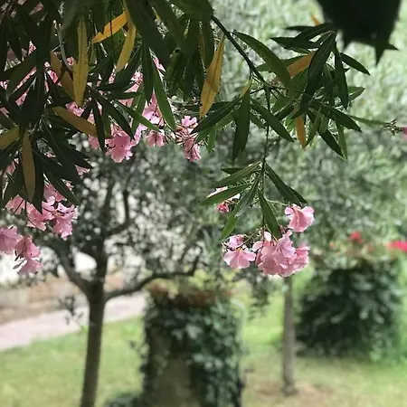 La Casa Di Claudia Florencja