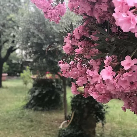La Casa Di Claudia