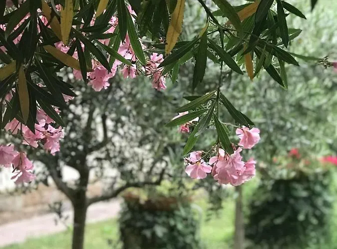 La Casa Di Claudia Firenze